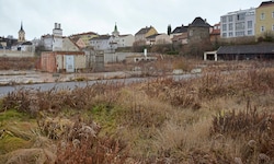 Gstetten im Stadtkern von Zwettl anstatt Einkaufszentrum: Der Grund verwildert seit Jahren.
