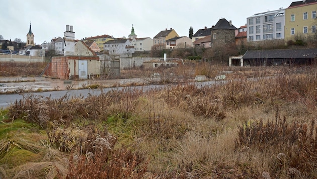 Gstetten in the center instead of a shopping center: The site has been overgrown for years. (Bild: Stadt Zwettl)