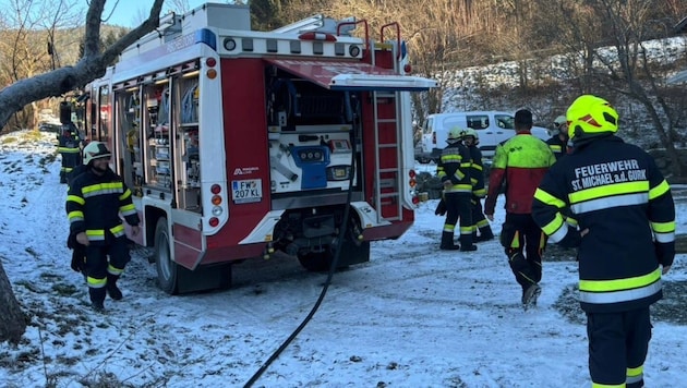 Vier Freiwillige Feuerwehren standen im Einsatz. (Bild: Freiwillige Feuerwehr Timenitz )