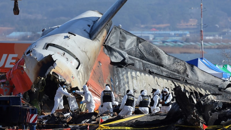 Das Wrack der Boeing nach der Bruchlandung (Bild: AFP/APA/Yonhap)