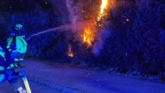 Die Feuerwehren St. Donat und St. Veit mussten kurz nach Mitternacht zu dem Heckenbrand ausrücken. (Bild: FF St.Veit/Glan)