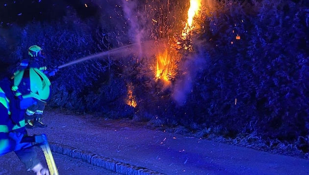 Die Feuerwehren St. Donat und St. Veit mussten kurz nach Mitternacht zu dem Heckenbrand ausrücken. (Bild: FF St.Veit/Glan)