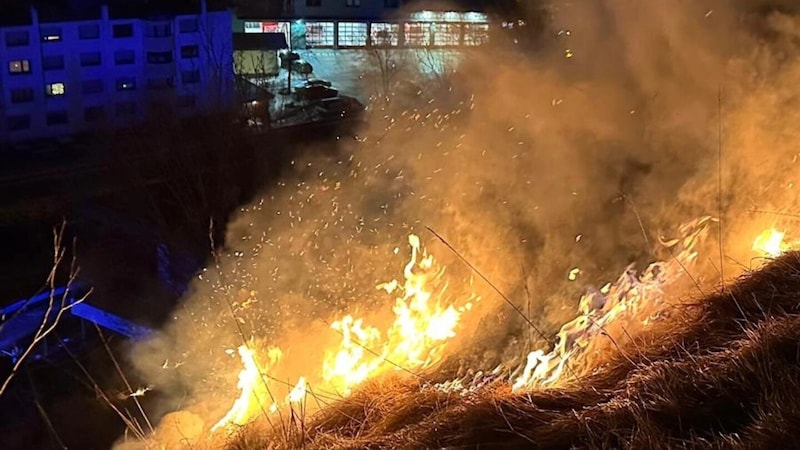 There was an embankment fire in Steinach am Brenner. (Bild: zoom.tirol)