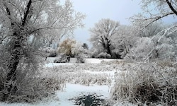Herrliche Bilder – leider handelt es sich bei dem Schnee um Industrieschnee.