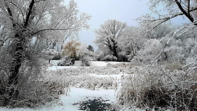 Herrliche Bilder – leider handelt es sich bei dem Schnee um Industrieschnee. (Bild: Ulrike Peuker)