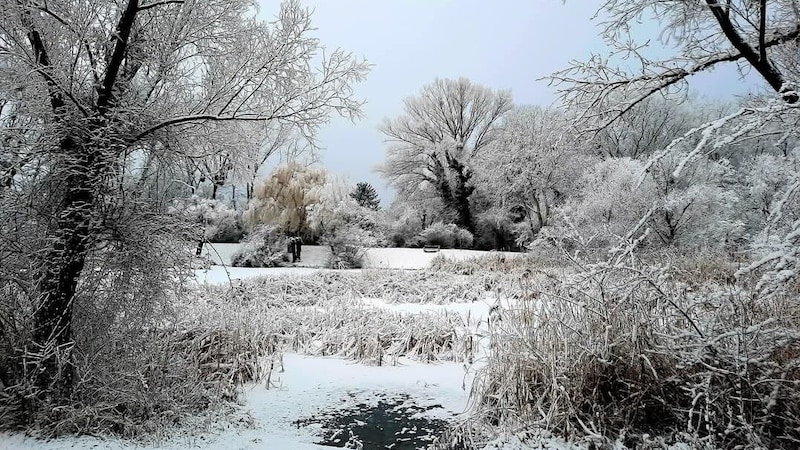 The snow that fell in parts of Vienna on New Year's Eve and New Year's Day was industrial snow. (Bild: Ulrike Peuker)