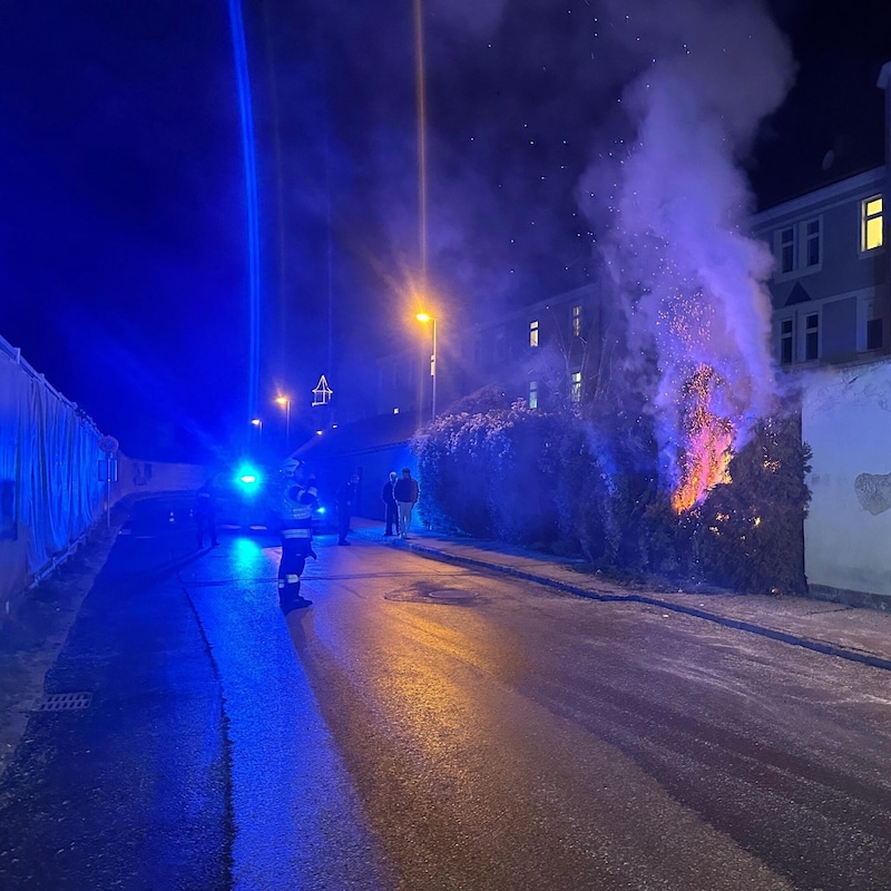 Two hedge fires kept the forces on their toes. (Bild: FF Bruck an der Mur)