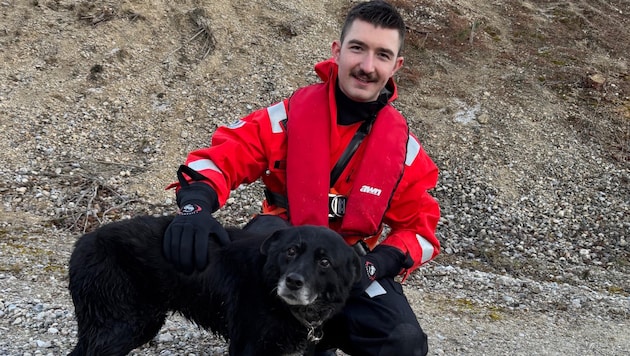 The curious dog Sarah was rescued from the ice-cold gravel pond by the fire department. Hypothermic, but otherwise in good health. (Bild: Freiwillige Feuerwehr Wiener Neustadt)