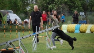 In der Hundeschule Breitenlee lernen Welpen und ältere Vierbeiner wichtige Übungen fürs Leben. (Bild: Hundeschule Breitenlee)