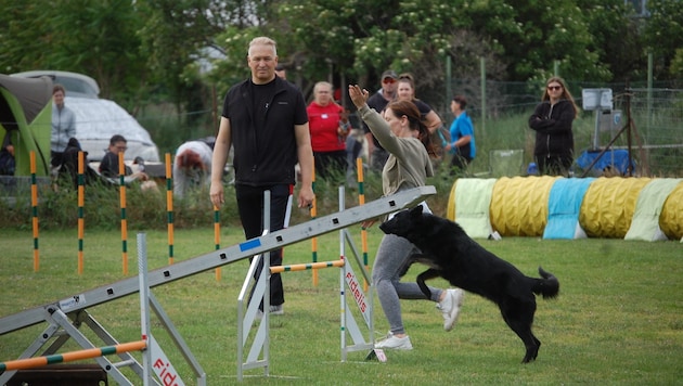 In der Hundeschule Breitenlee lernen Welpen und ältere Vierbeiner wichtige Übungen fürs Leben. (Bild: Hundeschule Breitenlee)