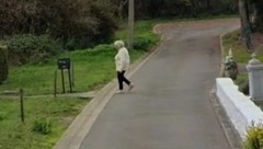 Diese Bilder führten die Ermittler auf die Spur zur Leiche der betagten Dame. (Bild: Google Street View)