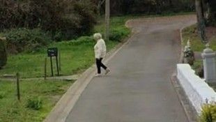 Diese Bilder führten die Ermittler auf die Spur zur Leiche der betagten Dame. (Bild: Google Street View)