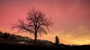 Am Neujahrsabend sorgten die Polarlichter vielerorts für ein spektakuläres Naturschauspiel – wie etwa in Prein an der Rax in Niederösterreich. (Bild: Leserreporter)