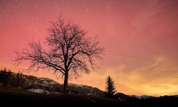 Am Neujahrsabend sorgten die Polarlichter vielerorts für ein spektakuläres Naturschauspiel – wie ...