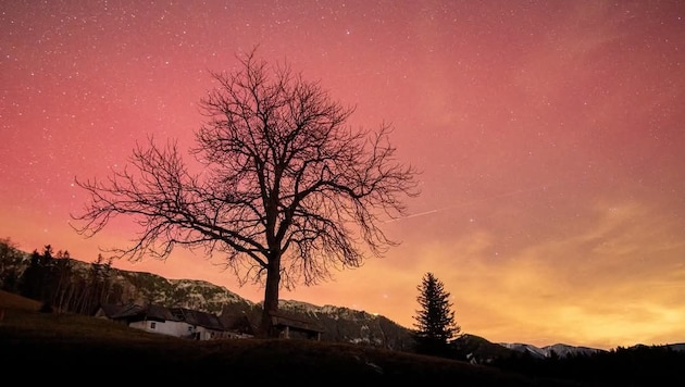 On New Year's Eve, the auroras provided a spectacular natural spectacle in many places - such as in Prein an der Rax in Lower Austria. (Bild: Leserreporter)