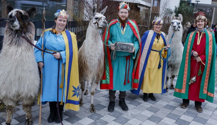 Caspar, Melchior, Balthasar und der Sternträger kamen statt auf Kamelen mit den Lamas Nathan, ...