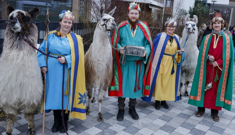 Caspar, Melchior, Balthasar und der Sternträger kamen statt auf Kamelen mit den Lamas Nathan, Figaro und Conny. (Bild: Tschepp Markus)