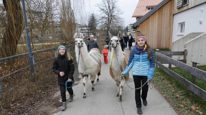 Lara und Carolina führten die Lamas Figaro und Conny.