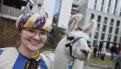  „Königin“ Eva-Maria Stadlbauer mit Lama Figaro in der Rauchenmühlen-Siedlung. (Bild: Tschepp Markus)