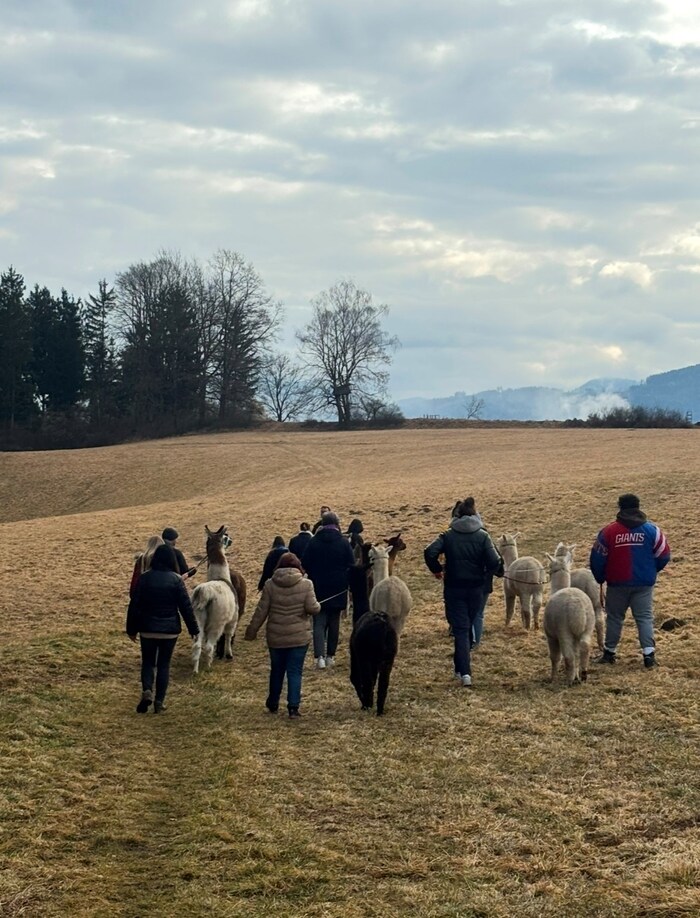 The Glanzer family invites you to "Meet&amp;Feet", hikes and team-building sessions.