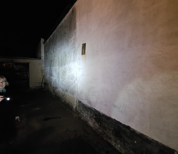 The entire rear of the house needs to be completely renovated. 