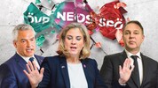 Beate Meinl-Reisinger sprengte das Zuckerl – Schuld am Aus hat aber nicht sie alleine ...