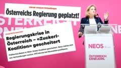 Anfang Jänner ließ Beate Meinl-Reisinger das erste Zuckerl platzen – ist jetzt alles vergeben und vergessen? (Bild: Krone KREATIV/APA Screenshots/NZZ, Blick, Bild, Zeit)