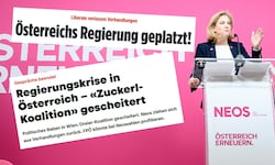 Anfang Jänner ließ Beate Meinl-Reisinger das erste Zuckerl platzen – ist jetzt alles vergeben ...