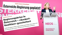 Anfang Jänner ließ Beate Meinl-Reisinger das erste Zuckerl platzen – ist jetzt alles vergeben und vergessen? (Bild: Krone KREATIV/APA Screenshots/NZZ, Blick, Bild, Zeit)