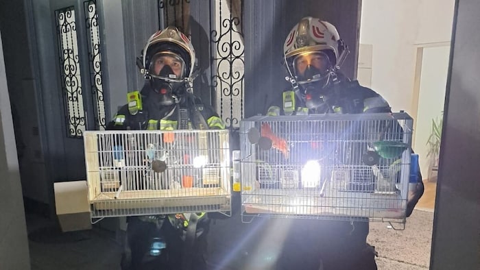 Die Florianis konnten auch zahlreiche Haustiere aus dem verrauchten Haus retten.