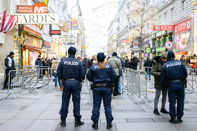 Die Polizei sorgte mit einem Großaufgebot für Sicherheit (Bild: picturedesk.com/MAX SLOVENCIK / APA / picturedesk.com)