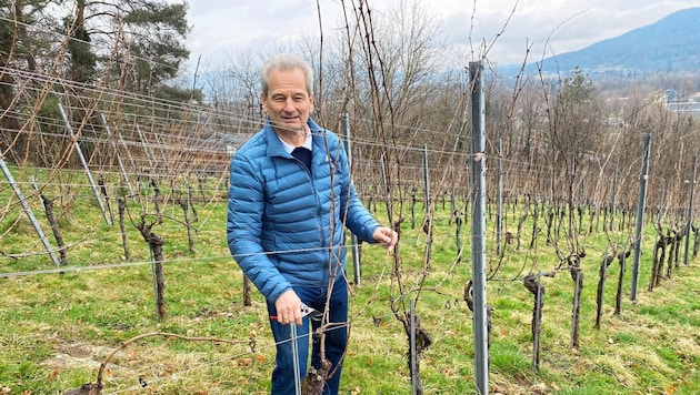 Weinbau-Präsident Horst Wild spricht über Slow Wine. (Bild: Manuela Karner)