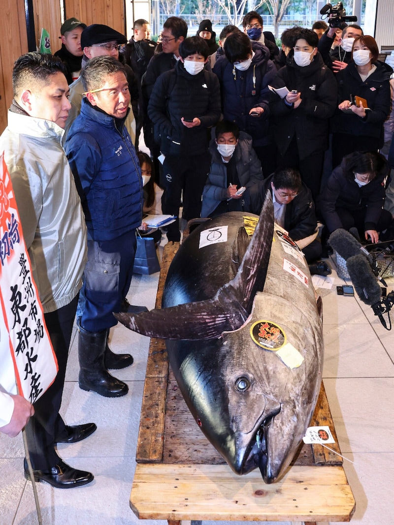 Die Menschen, die den ersten Thunfisch des Jahres essen, sollen „ein wunderbares Jahr“ haben. (Bild: APA/STR / JIJI PRESS / AFP)