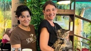 Viola Reuther (li) und Verena Kulterer (re) lernten sich über das „ChancenForum“ kennen. (Bild: Katzencafe)