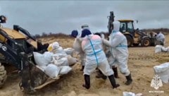 Aufräumarbeiten an der Küste nachdem zwei Tanker nach einer Kenterung im Sturm Tausende Tonnen Heizöl verloren hatten.  (Bild: Russian Emergency Ministry Press Service)