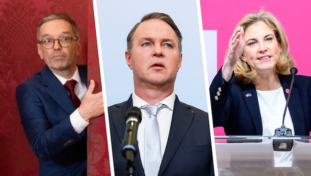 Reactions to Van der Bellen's appointment of Herbert Kickl have been mixed. (Bild: Krone KREATIV/Imre Antal, MAX SLOVENCIK / APA / picturedesk.com, TOBIAS STEINMAURER / picturedesk.com)