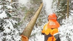 Auch im Winter wird in den heimischen Wäldern gearbeitet. Mit Achtsamkeit können viele tragische Unfälle vermieden werdem. (Bild: Moser Gabriele/Gabriele Moser)