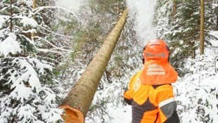 Auch im Winter wird in den heimischen Wäldern gearbeitet. Mit Achtsamkeit können viele tragische Unfälle vermieden werdem. (Bild: Moser Gabriele/Gabriele Moser)