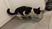 Nach über einer Woche bekam „Lucky“ endlich zu trinken.