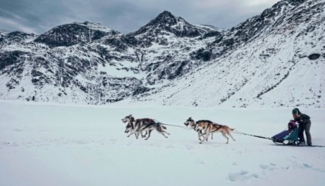 Die Magie des Schlittenhundesports erlebt man in Österreich im Salzburger Sportgastein. (Bild: Wallner Hannes)