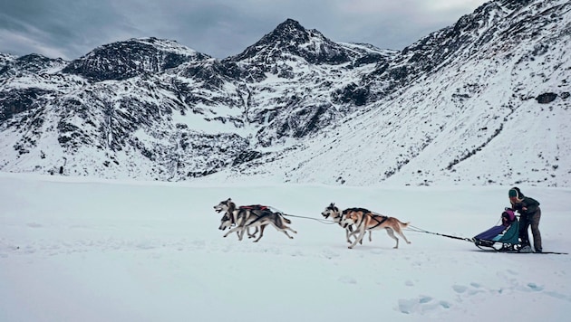 The magic of sled dog sport can be experienced in Austria in Salzburg's Sportgastein. (Bild: Wallner Hannes)