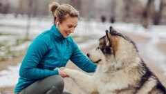 Das Zusammenleben zwischen Hund und Mensch in der Stadt ist nicht immer konfliktfrei. Geltende ...