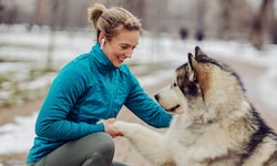 Das Zusammenleben zwischen Hund und Mensch in der Stadt ist nicht immer konfliktfrei. Geltende ...
