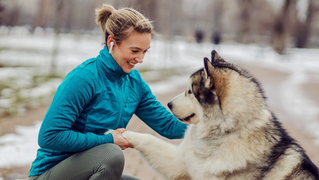 Das Zusammenleben zwischen Hund und Mensch in der Stadt ist nicht immer konfliktfrei. Geltende Regeln werden seit letztem Jahr von einem eigenen Team kontrolliert.  (Bild: stock.adobe.com/Dusan Petkovic - stock.adobe.com)