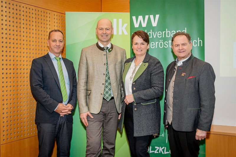 25 years of the Forestry Association: Forestry Director Werner Löffler, Lower Austrian Chairman Franz Fischer, Vice President Andrea Wagner and Federal Chairman Rudolf Rosenstatter. (Bild: Georg Pomaßl)