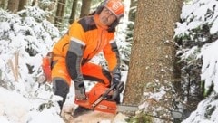 Der Wald ist eine bedeutende Ressource in Niederösterreich. (Bild: Moser Gabriele/Gabriele Moser)