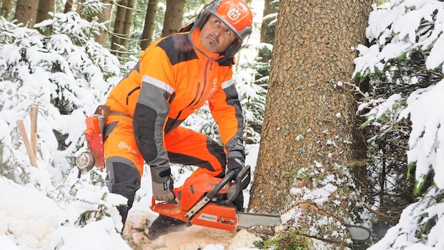 The forest is an important resource in Lower Austria. (Bild: Moser Gabriele/Gabriele Moser)