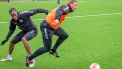 Zeigte seine Klasse beim internen Trainingsspiel: Hinteregger. (Bild: GEPA/GEPA pictures)