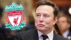 Hat Elon Musk mit Liverpool bald ein neues „Spielzeug“? (Bild: Getty Images/Andrew Harnik)