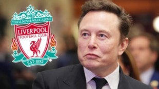 Hat Elon Musk mit Liverpool bald ein neues „Spielzeug“? (Bild: Getty Images/Andrew Harnik)